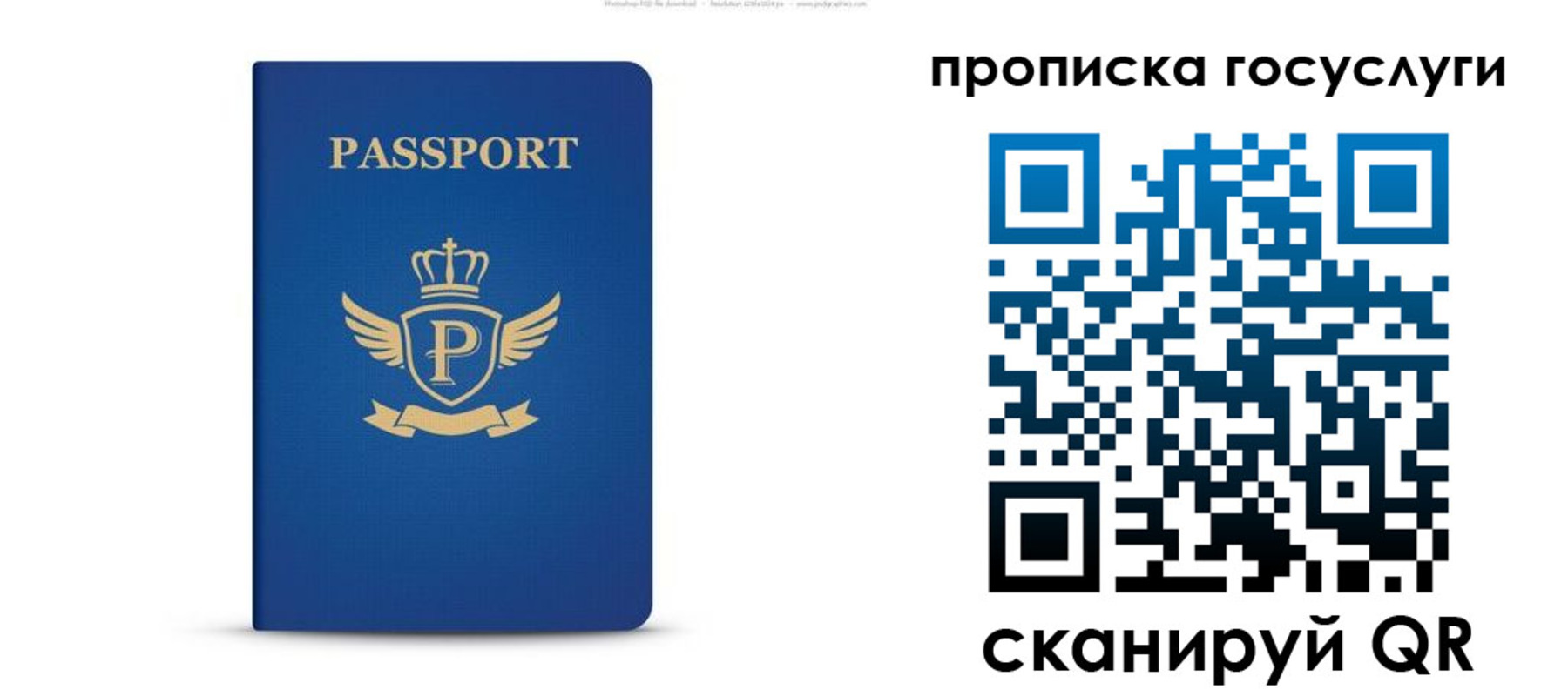 прописка для школы в Гаврилов-Яме